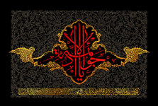 امام جواد(ع) چگونه با وکلای خود ارتباط می‌گرفتند؟/ماجرای قبایی که امام به علی بن مهزیار بخشیدند چه بود؟