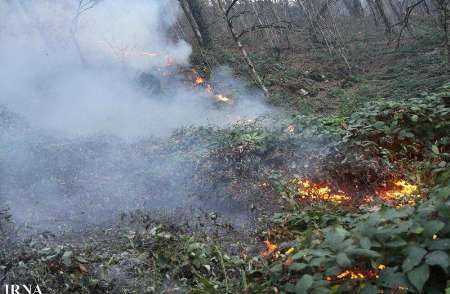 پارک ملی گلستان دچار آتش سوزی شد