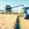 افزایش راندمان کمی و کیفی محصولات کشاورزی در خوزستان
