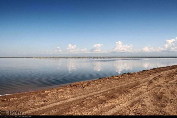 ۲ میلیون متر مکعب حق آبه به تالاب الله آباد آبیک اختصاص یافت