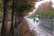 بارش باران در نواحی غربی و مرکزی فارس ادامه می یابد