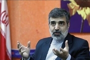 کمالوندی: رفتار انگلیس در خرید کیک زرد ایران سیاسی باشد؛ برخورد خواهد شد