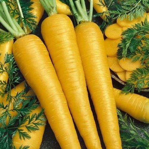 
این سبزی منبع بسیار قوی از پتاسیم است