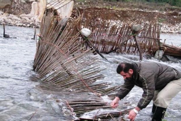 سدهای ماهیگیری از رودخانه‌های آستارا جمع‌آوری شد