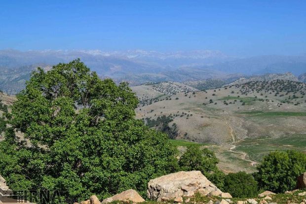 ۹۸ درصد اراضی ملی استان سمنان سند دارد
