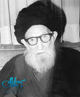 حضرت آیت الله سید جواد خامنه ای(ره)