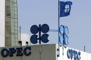 تولیدکنندگان اوپک نگران توقف رشد قیمت نفت