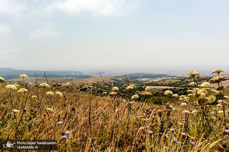 گردنه حیران
