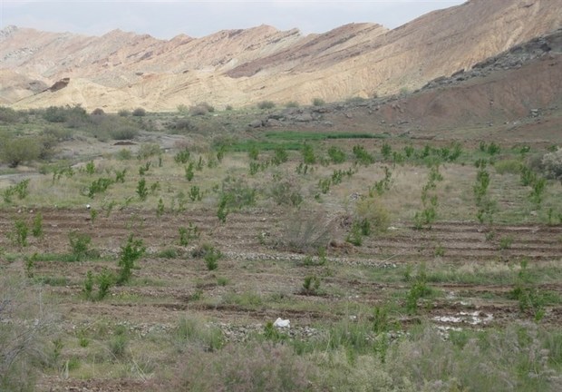 100 میلیارد تومان به بخش آب و خاک سیستان و بلوچستان مصوب شد