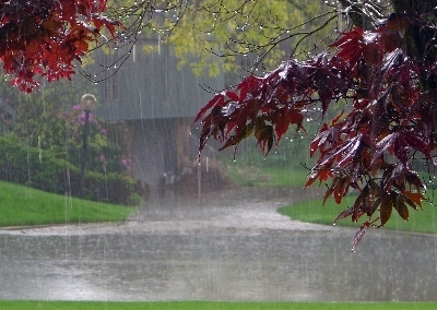 ثبت متوسط 380 میلی متر بارش باران در استان ایلام