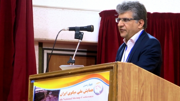 همایش ملی میگوی ایران در بوشهر آغاز شد