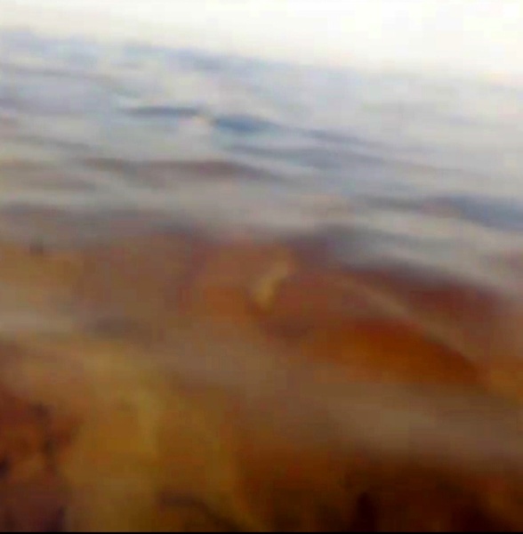 وجود آلودگی نفتی در حوزه دریایی بندر بحرکان هندیجان تائید شد