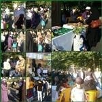 نمایشگاه انجمن رفتگران طبیعت گیلان در لاهیجان برگزار شد