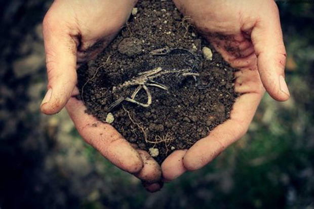 همایش روز جهانی خاک در قزوین برگزار شد