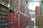 ممنوعیت صادرات سیب آذربایجان غربی لغو شد