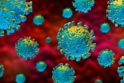 سومین فرد مبتلا به ویروس کرونا در شاهرود جان باخت