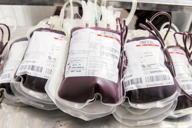 519 واحد خون از اهداکنندگان کردستانی دریافت شد