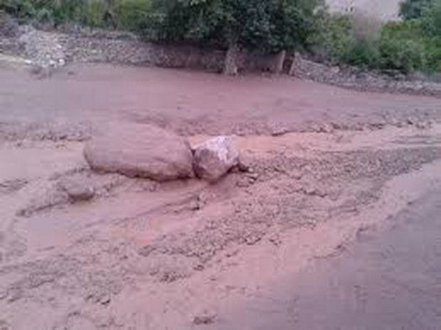 بخشدار : منطقه یزدان آباد زرند از سیل خسارت دید