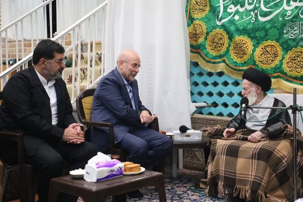 قالیباف در دیدار با آیت‌الله العظمی شبیری زنجانی: با استفاده از کالابرگ باید قیمت چند کالای اصلی را در طول سال ثابت نگه داریم