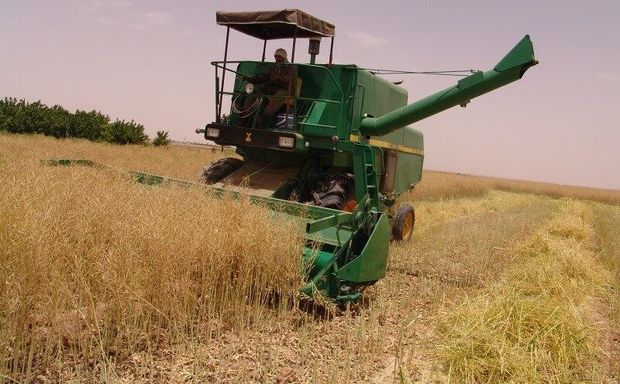کشاورزان کردستانی با اطمینان گندم را به مراکز خرید دولتی تحویل دهند