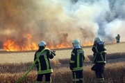 صاعقه در کازرون مزرعه 25 هکتاری را به آتش کشید
