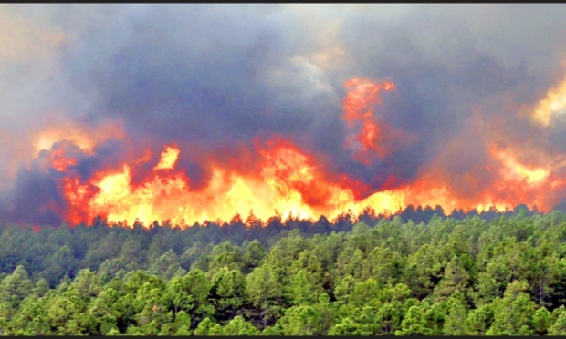 احتمال آتش سوزی در عرصه های طبیعی را افزایش می دهد