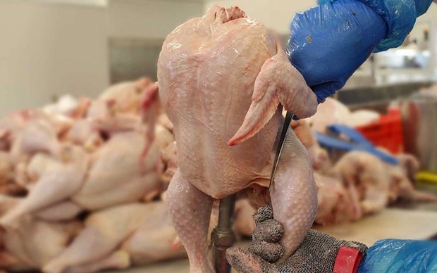 118 واحد متخلف عرضه گوشت مرغ در آذربایجان غربی شناسایی شد
