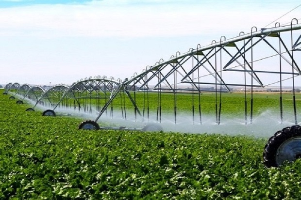 70 درصد اراضی کشاورزی سمنان به آبیاری نوین مجهز نیست