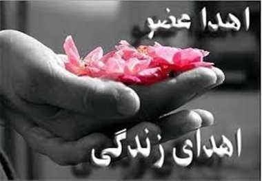 اعضای پیکر پاکبان فداکار آبیکی به چند بیمار جان دوباره بخشید