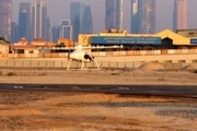 رونمایی از اولین تاکسی هوایی بدون خلبان جهان در دوبی