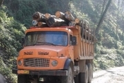 حمل و نقل چوب درخت در خداافرین ممنوع شد