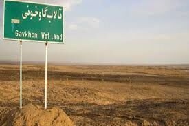 تشکل‌های مردم نهاد در باره صدور مجوز استخراج املاح معدنی از تالاب گاوخونی هشدار دادند