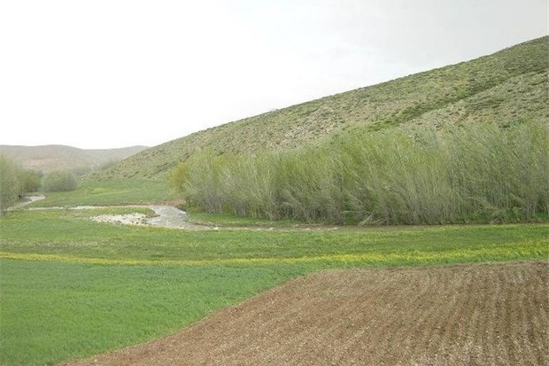 1340 هکتار از اراضی ملی استان مرکزی رفع تصرف شد