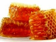 360 تن عسل در ساری تولید شد