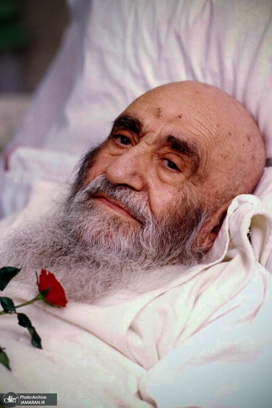 آیت الله العظمی سید‌ شهاب‌ الدین مرعشی‌ نجفی(ره) به روایت تصویر