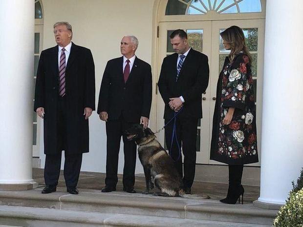 تقدیر ترامپ از سگی که بغدادی را به دام انداخت! + عکس