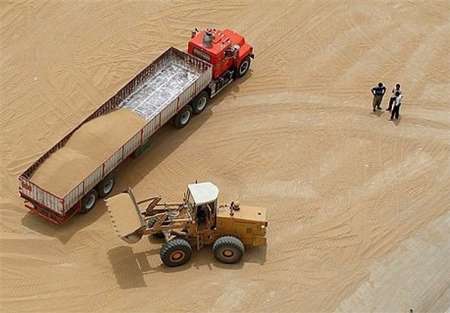 افت تولید در گندم زارهای دیم  14هزارتن گندم از زارعان آبدانان خریداری شد