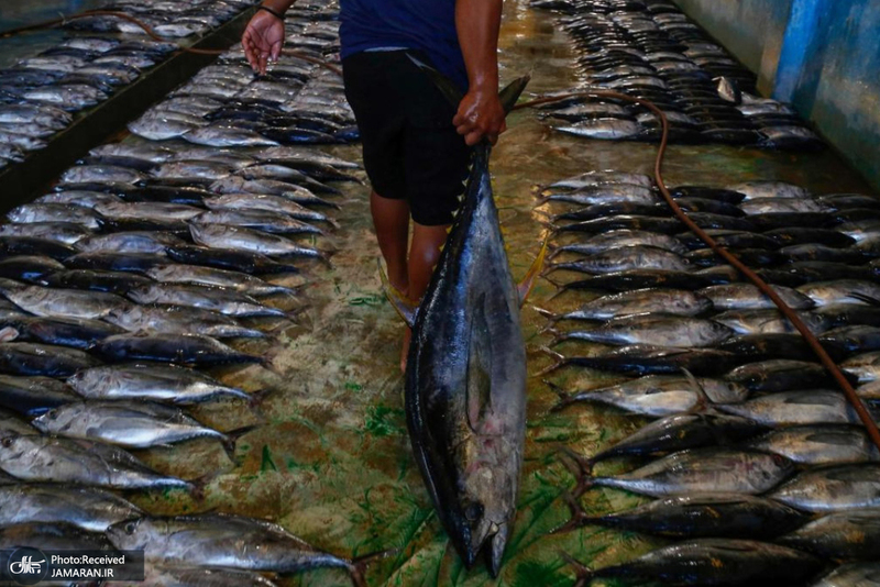 منتخب تصاویر امروز جهان - 22 شهریور 1401