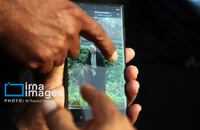 شناسایی شهدای دبستان میناب (2)