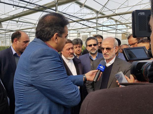 استاندار تهران: استفاده از سامانه نوین آبیاری راهکار اصلی مقابله با کم آبی است