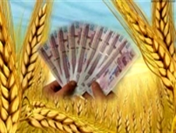 خریداری 22 هزار تن گندم از کشاورزان شهرستان قزوین