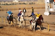 مسابقه اسب دوانی کورس بهاره کشور در یزد پیگیری شد