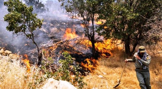 سهل انگاری عامل اصلی   آتش سوزی عرصه های طبیعی ایلام است