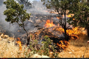 دستگیری ۲ نفر در رابطه با آتش‌سوزی مراتع کوه "رنو"