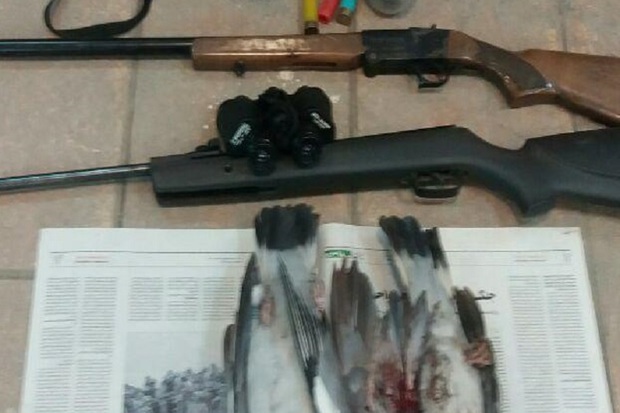2 قبضه سلاح شکاری قاچاق در شهرستان البرز کشف شد