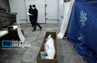 شناسایی شهدای دبستان میناب (35)