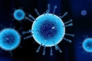 کشف نوع جدید ویروس کرونا در اسپانیا