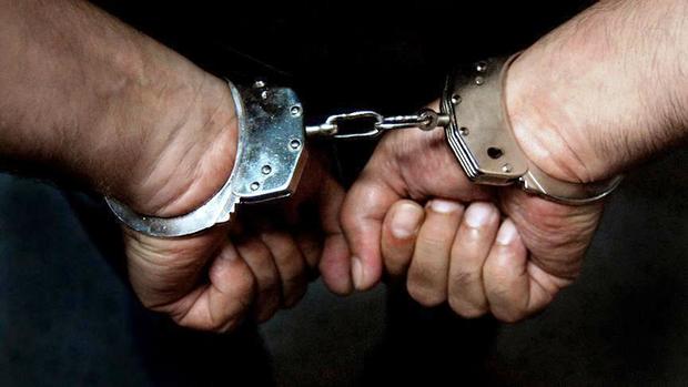 14سارق در دشتستان دستگیر شدند