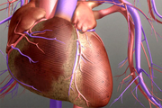 ساخت قلب مصنوعی به کمک تکنولوژی