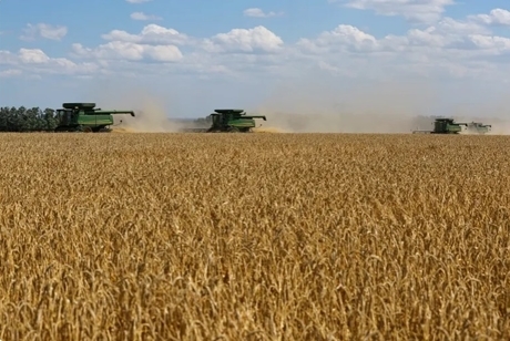 نعمت جنگ علیه ایران برای روسیه/ پوتین خطاب به غرب: گندم ما نفت جدید است و کود هم گاز 